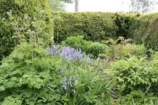 IMG_1800.webp