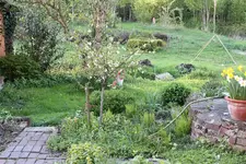 IMG_1777.webp