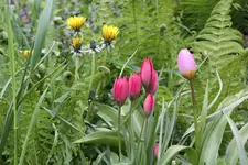 IMG_1804.webp