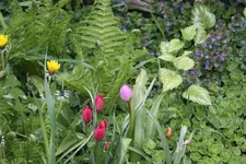 IMG_1794.webp