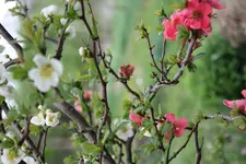 IMG_1748.webp