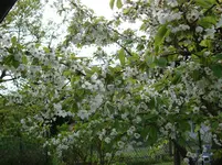 DSC02708.webp