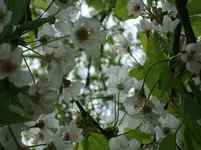 DSC02710.webp