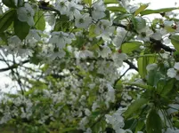 DSC02709.webp