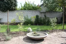 IMG_1332.webp