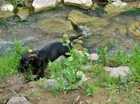 DSC06206.webp