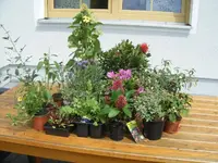 DSCF6587.webp