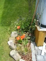 DSCF6590.webp