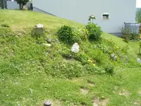DSCF6593.webp
