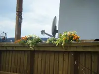 DSCF6595.webp