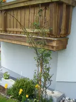 DSCF6596.webp