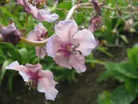 IMG_5056_1024x768.webp
