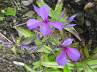 IMG_5058_1024x768.webp