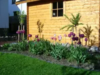 Bild2.webp