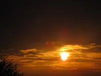 IMG_1166.webp