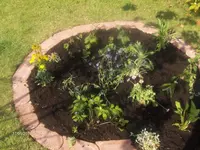 HPIM4412.webp