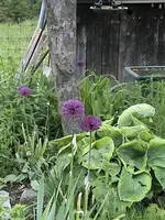 DSC00030.webp