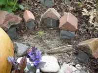 Fotos 003.webp