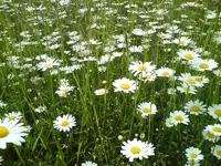 DSC01187.webp