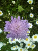 DSC01188.webp