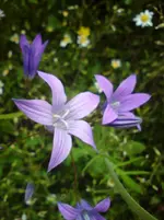 DSC01189.webp