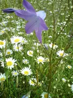 DSC01191.webp