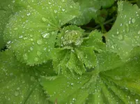 CIMG7791.webp