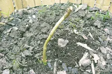 siegerfoto.webp