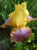 DSC01194.webp