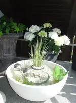 DSC01907.webp