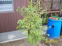 100_1584.webp
