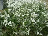 18.05 005.webp
