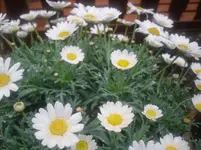 SDC10366.webp
