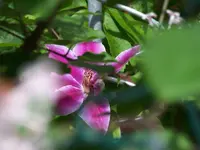 100_2335.webp