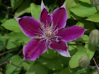 100_2338.webp
