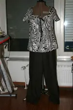 Shirt+Hose.webp
