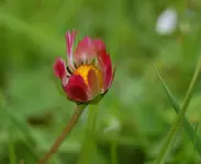 DSC_5166.webp