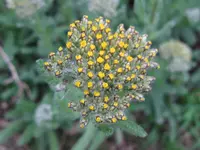 IMG_5098_1024x768.webp
