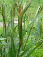 IMG_5109_576x768.webp