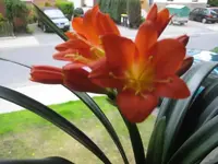 IMG_2109.webp