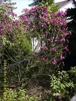 JD500498.webp