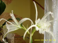 JD500084.webp