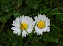 DSC_5171.webp