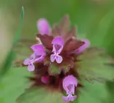 DSC_5192.webp