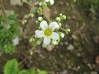 IMG_5127_1024x768.webp
