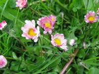 IMG_5129_1024x768.webp