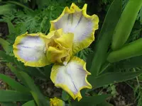 IMG_easter_1024x768.webp