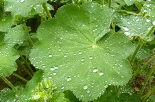 regenpause1.webp