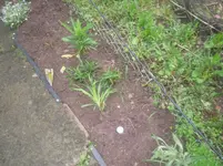 20.05.2010 003.webp