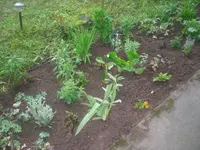 20.05.2010 007.webp